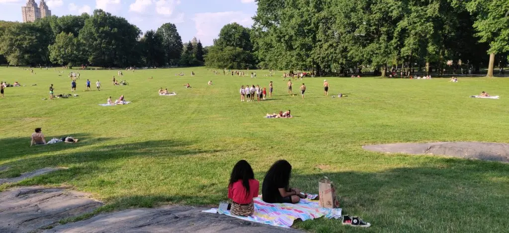 Il Great Lawn di Central Park