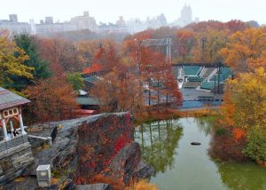 Delacorte theater