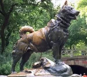 La statua di Balto a Central Park