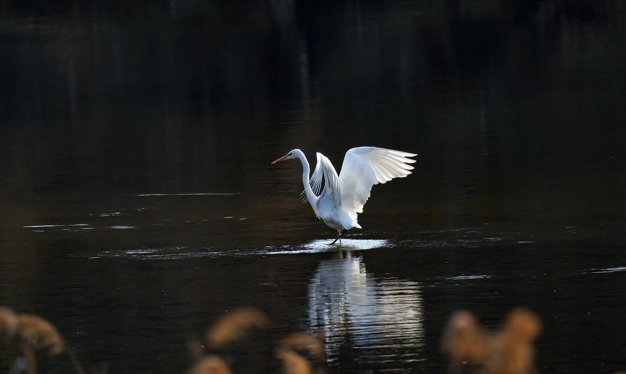 Outlet vicino New York: guida completa a Woodbury Common - NewYork4u.it