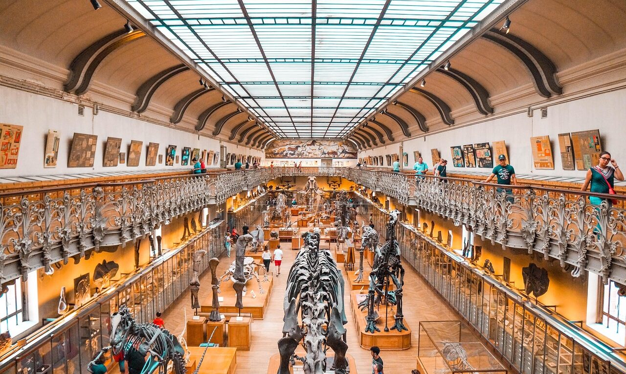 NYC: la mostra sport dell'anno all'American Museum of Natural History - NewYork4u.it